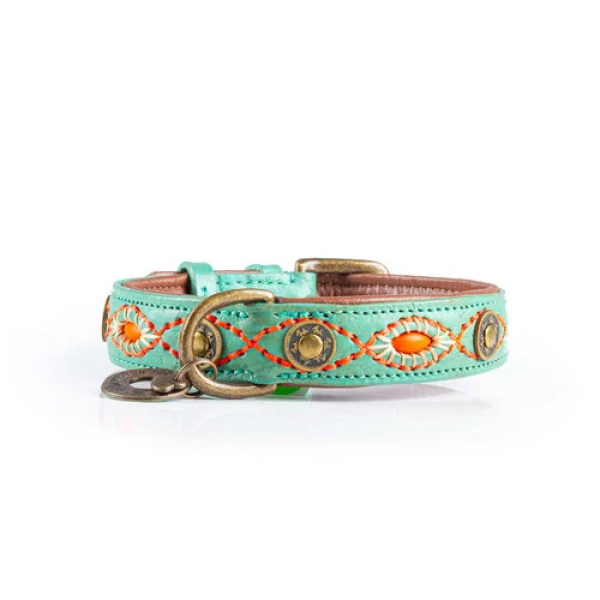 Dog with a Mission Halsband Janis